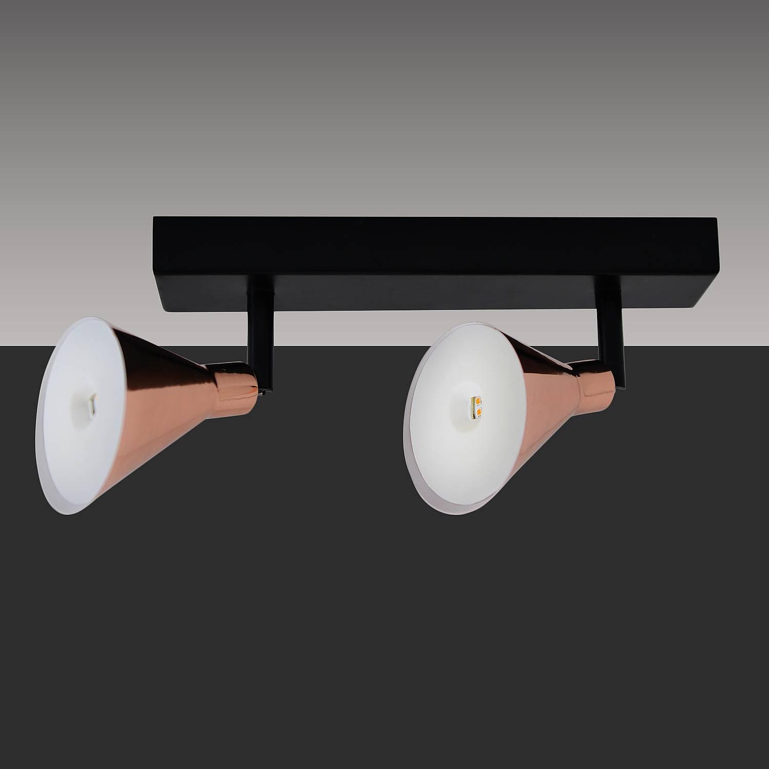 Cooper LED Ceiling Light 2-Light Black 3