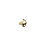 Mushroom Haken Gold 1