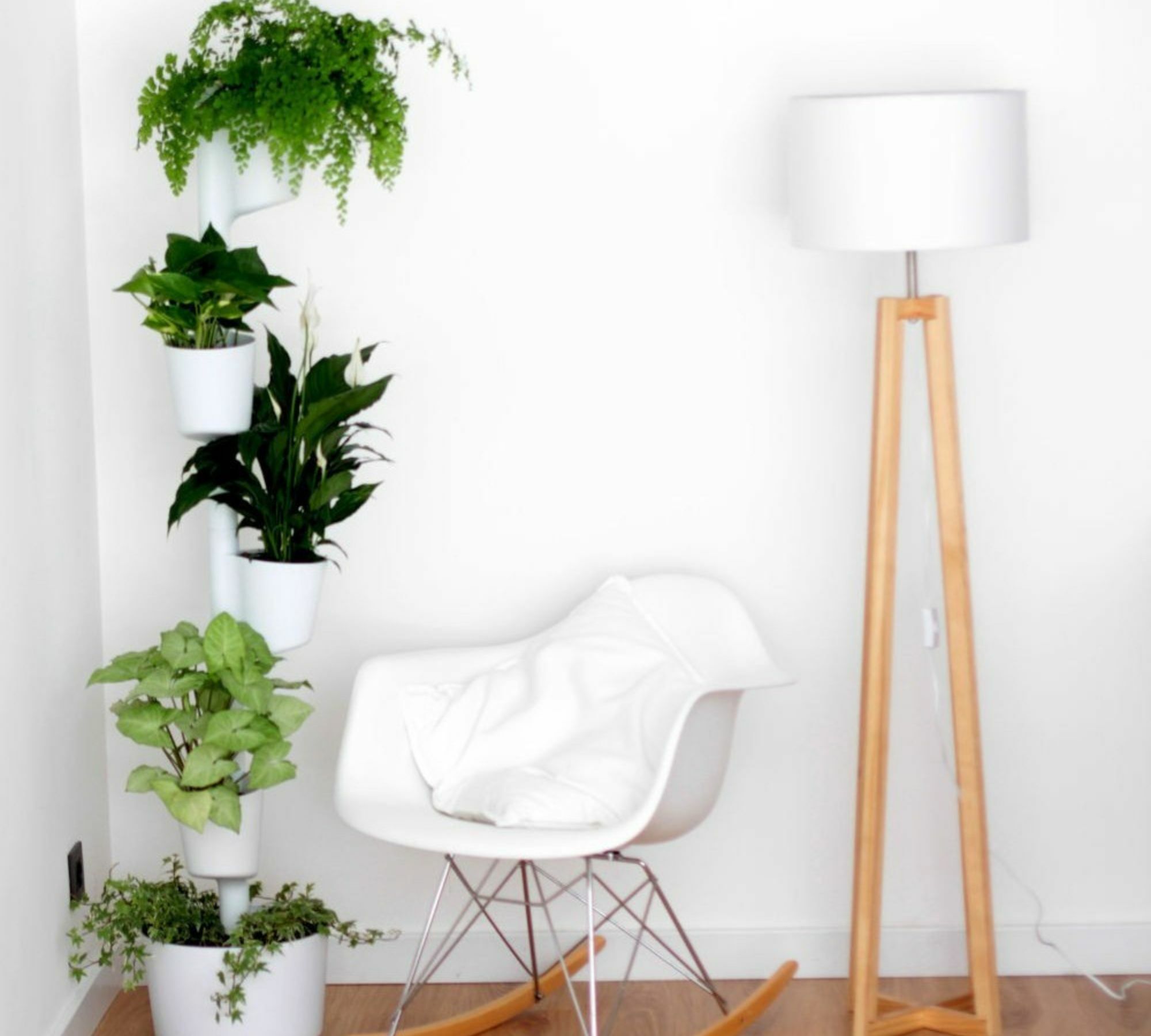 Design Award: Pine Wood Planter Black 2