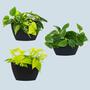3x Wall Flower Pot Black 0