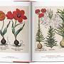 A Garden Eden. Masterpieces of Botanical Illustration. 2