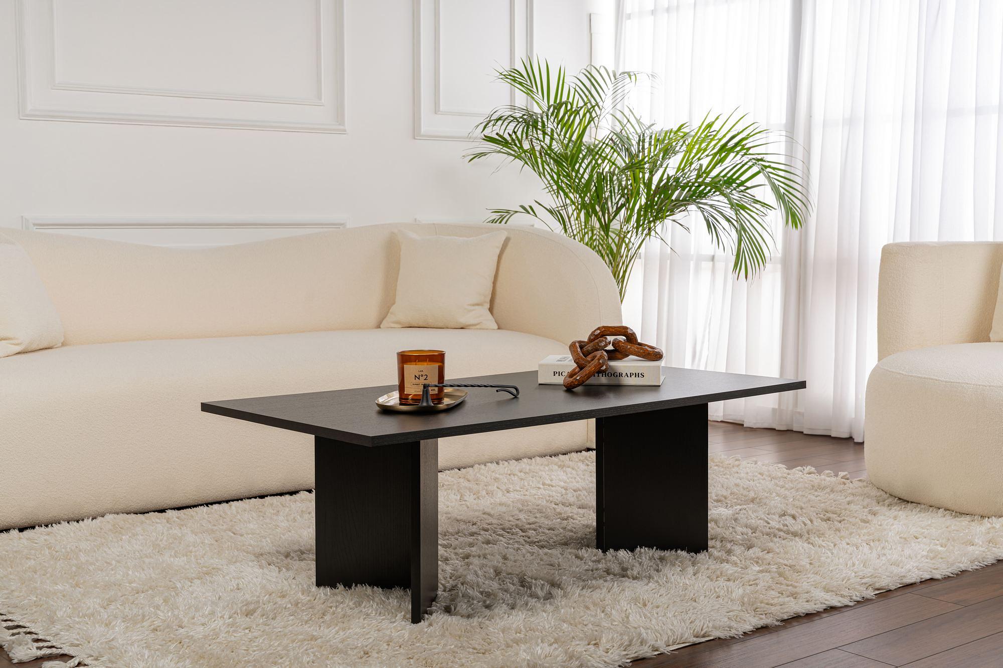 Sabin Coffee table VNT Wood black 6
