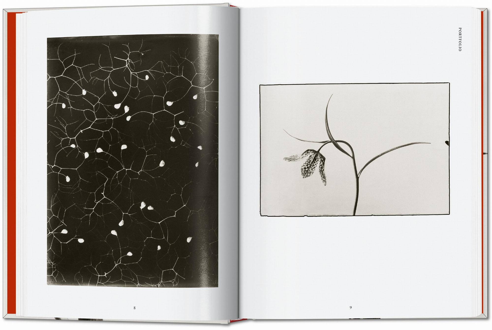 Karl Blossfeldt. The Complete Published Work. 45th Ed. 2