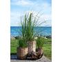Hanoi Planter Set of 3 Brown 2