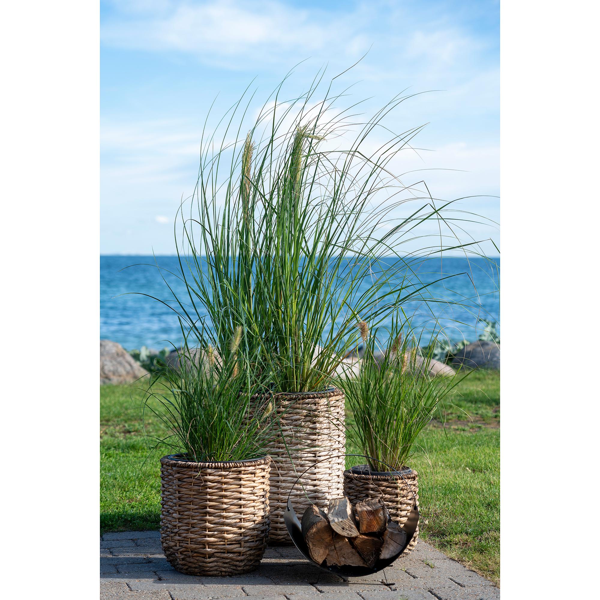 Hanoi Planter Set of 3 Brown 2