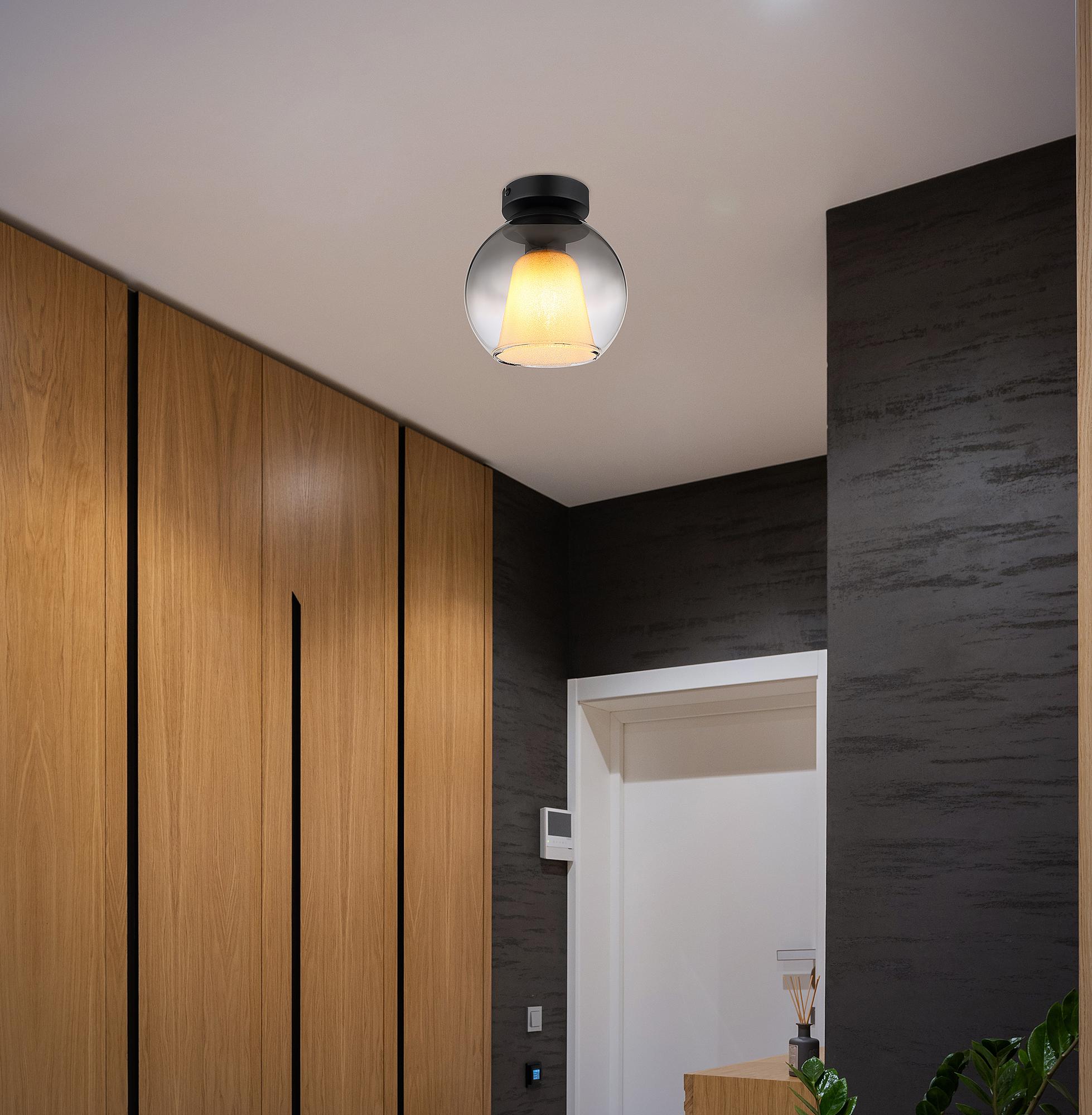 Barry Typ B Deckenleuchte 1-flammig Rauchglas Eisen 2