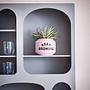ARTISTA Wandregal MDF Grau 2