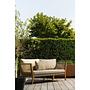 San Remo 3-Sitzer Gartensofa Teakholz Braun 2