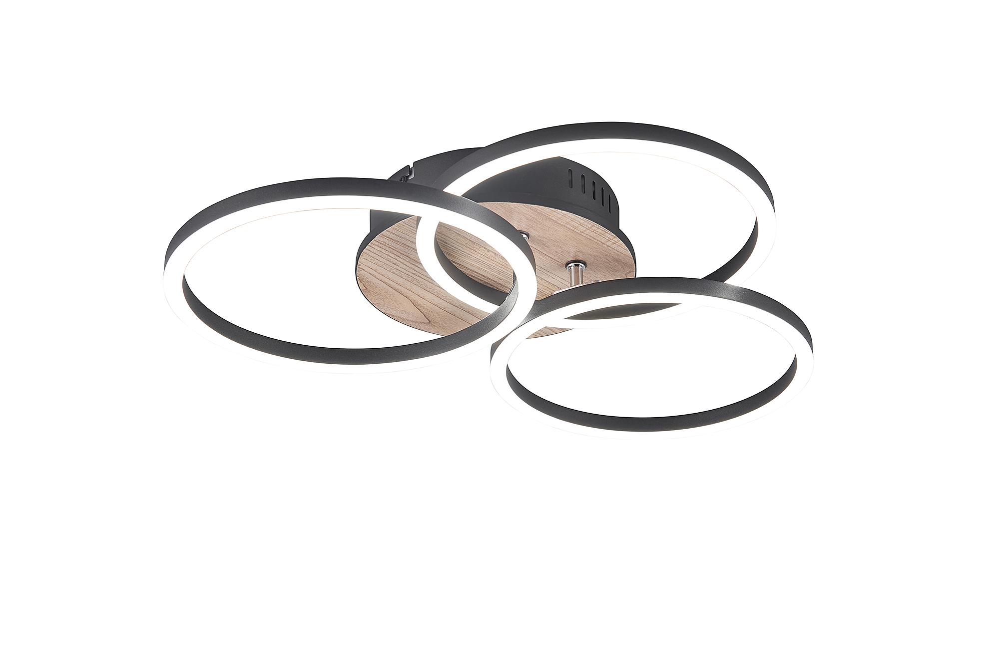 Circle LED-Deckenleuchte Eisen 1-flammig 3