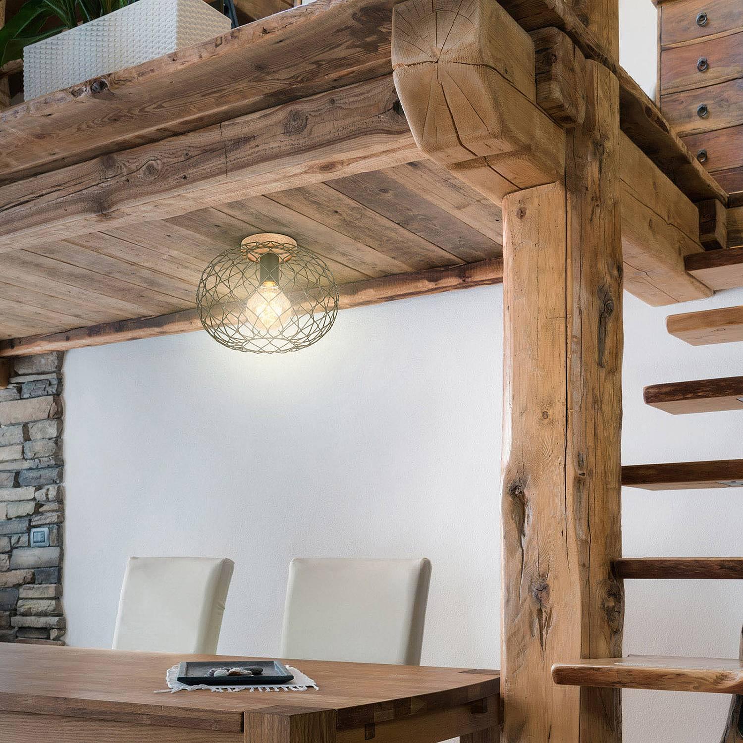 Winki Ceiling Light Iron Rubber Tree 1-Light 1