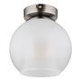 Barry Type D Ceiling Lamp Opal Glass Iron 1-Light 3