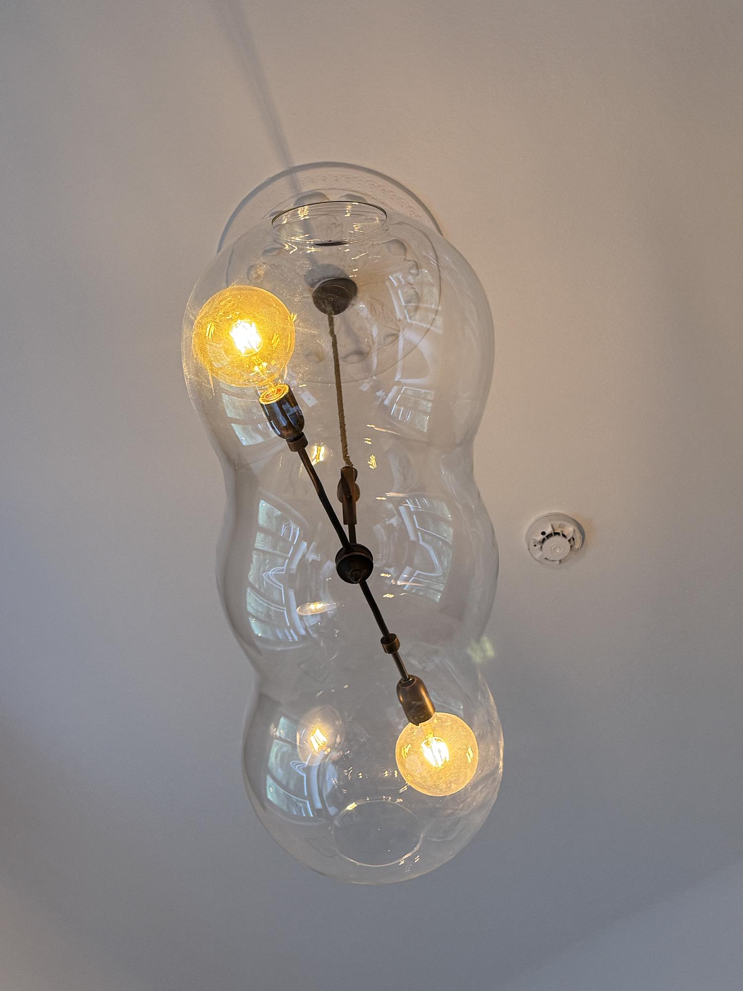 Designer glass pendant lamp organic shape 1