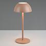 LED Table Lamp Ricardo 1-Light ABS 0