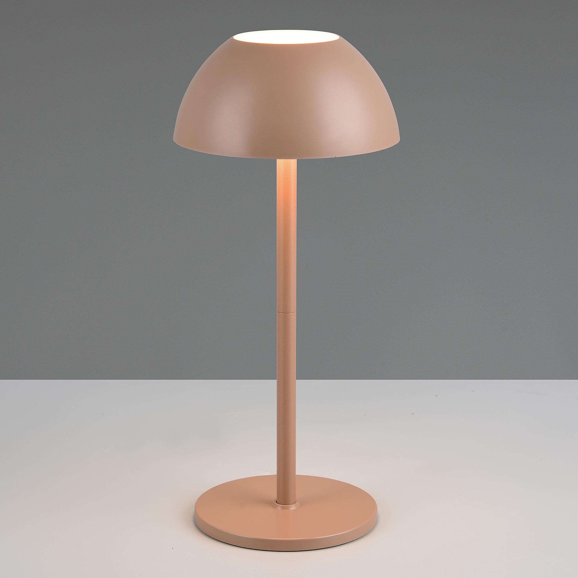 LED Table Lamp Ricardo 1-Light ABS 0