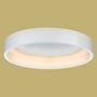 LED-Deckenleuchte mit Lichtring 1