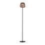 Askia LED floor lamp iron 1-light 3