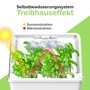 Zimmergewächshaus inkl. Anzuchtspads 6