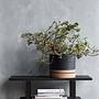 2x HDAstu Planters with Saucers Black Nature 2