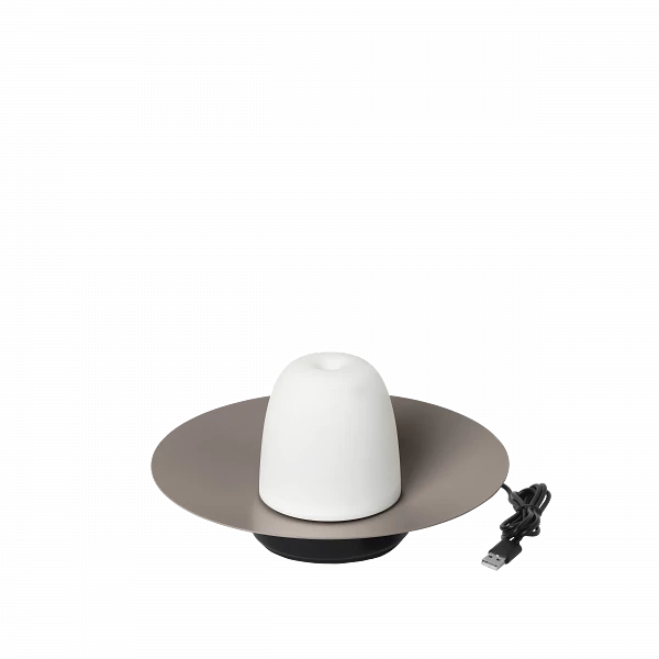 Ani Mobile LED-Tischleuchte Aufhängbar Warm Gray 66067 2