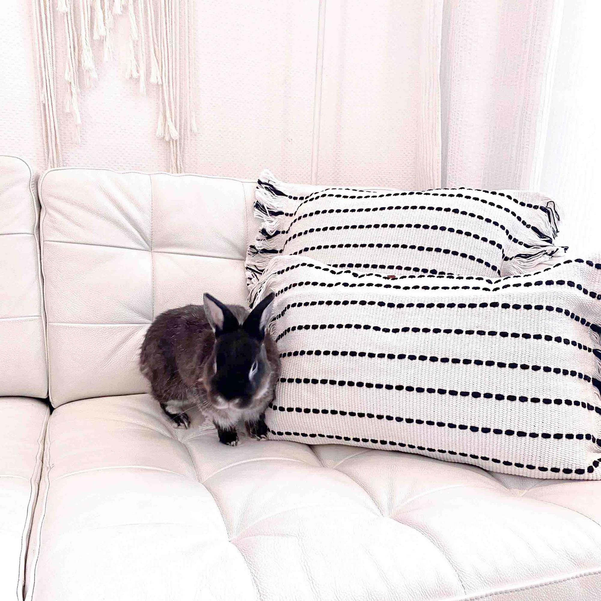 Lands & Pits Cushion Cover Cotton Natural 2