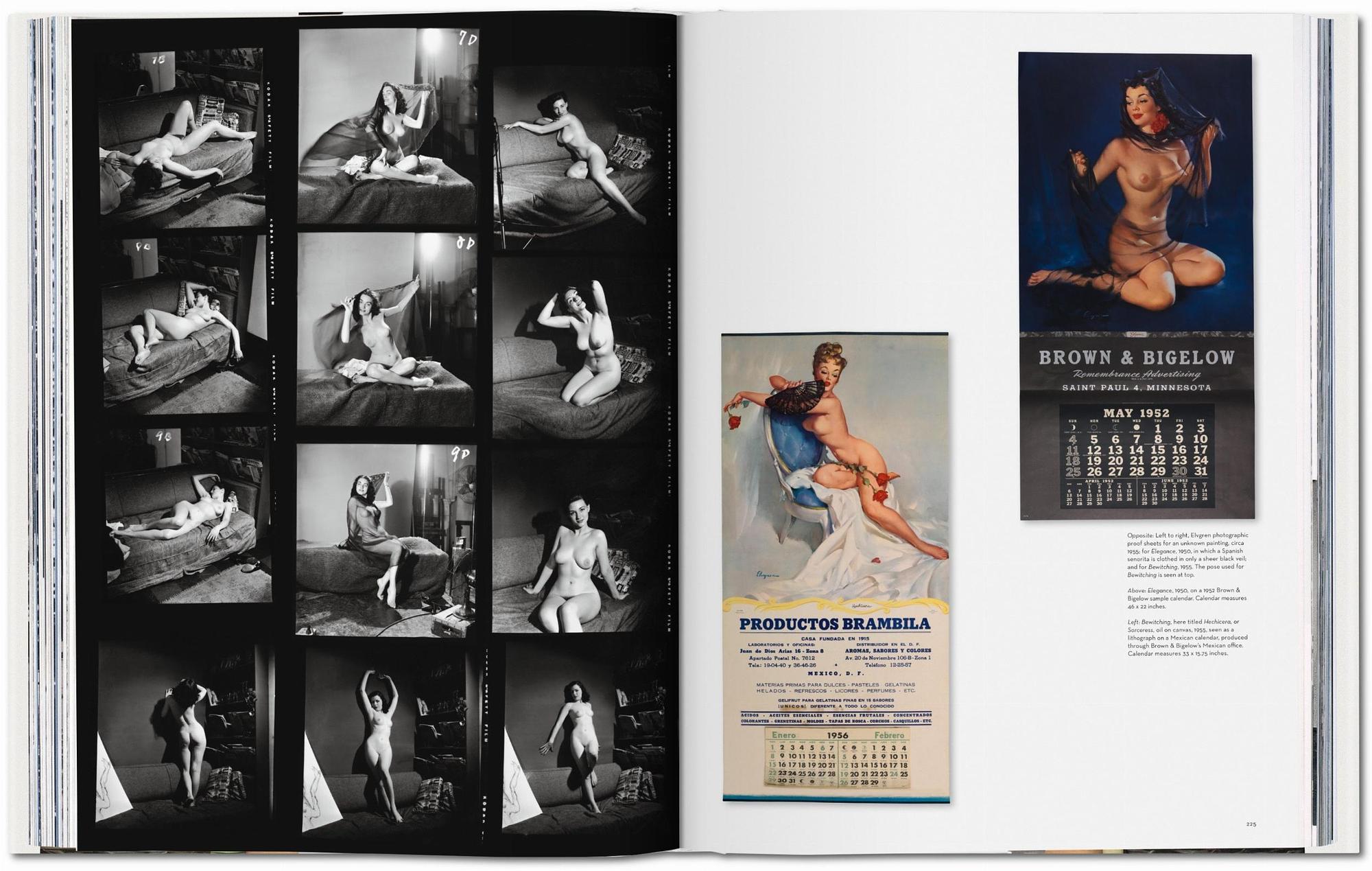 The Art of Pin-up 5