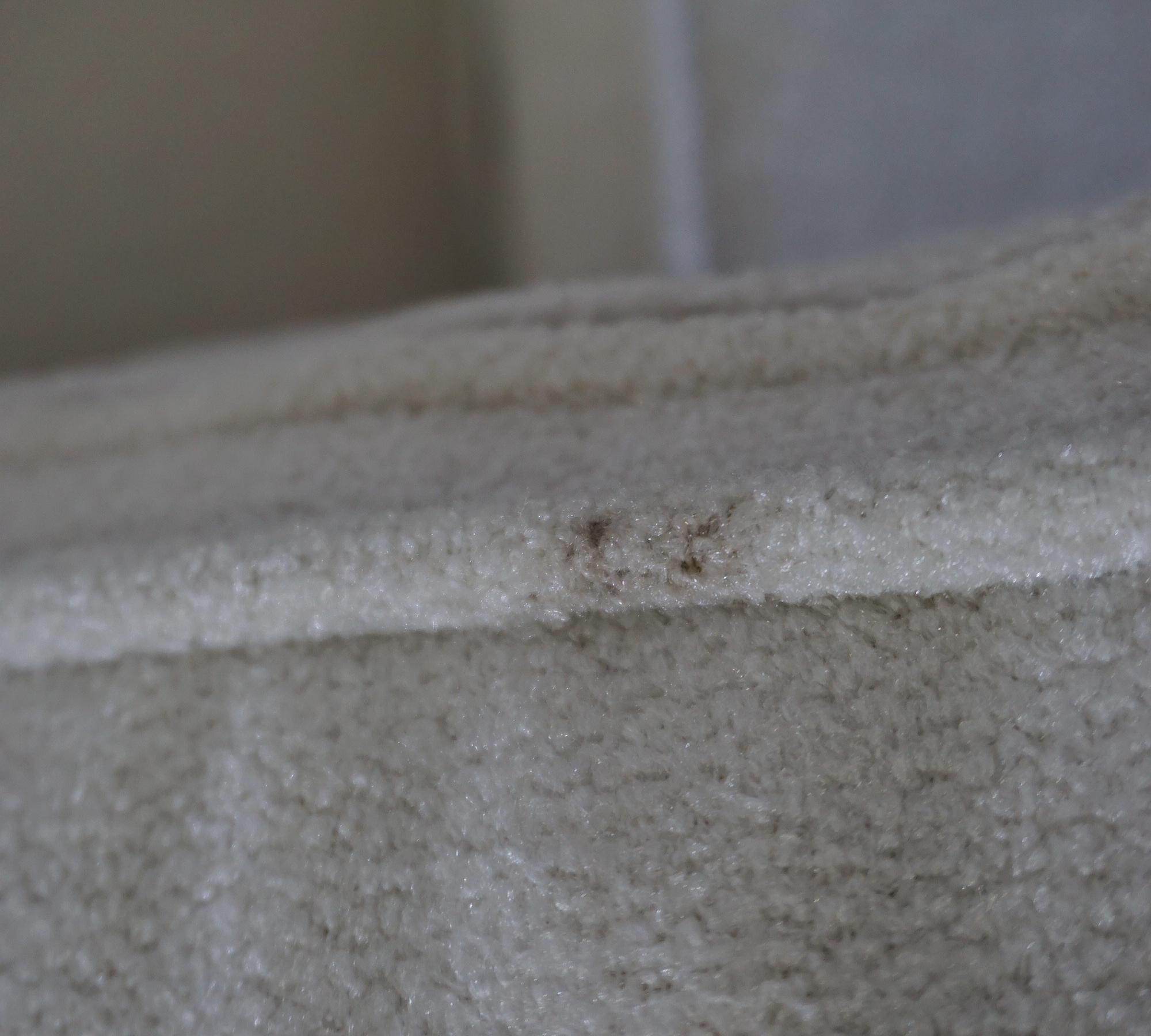 Lima Sessel Creme mit goldenen Beinen 7