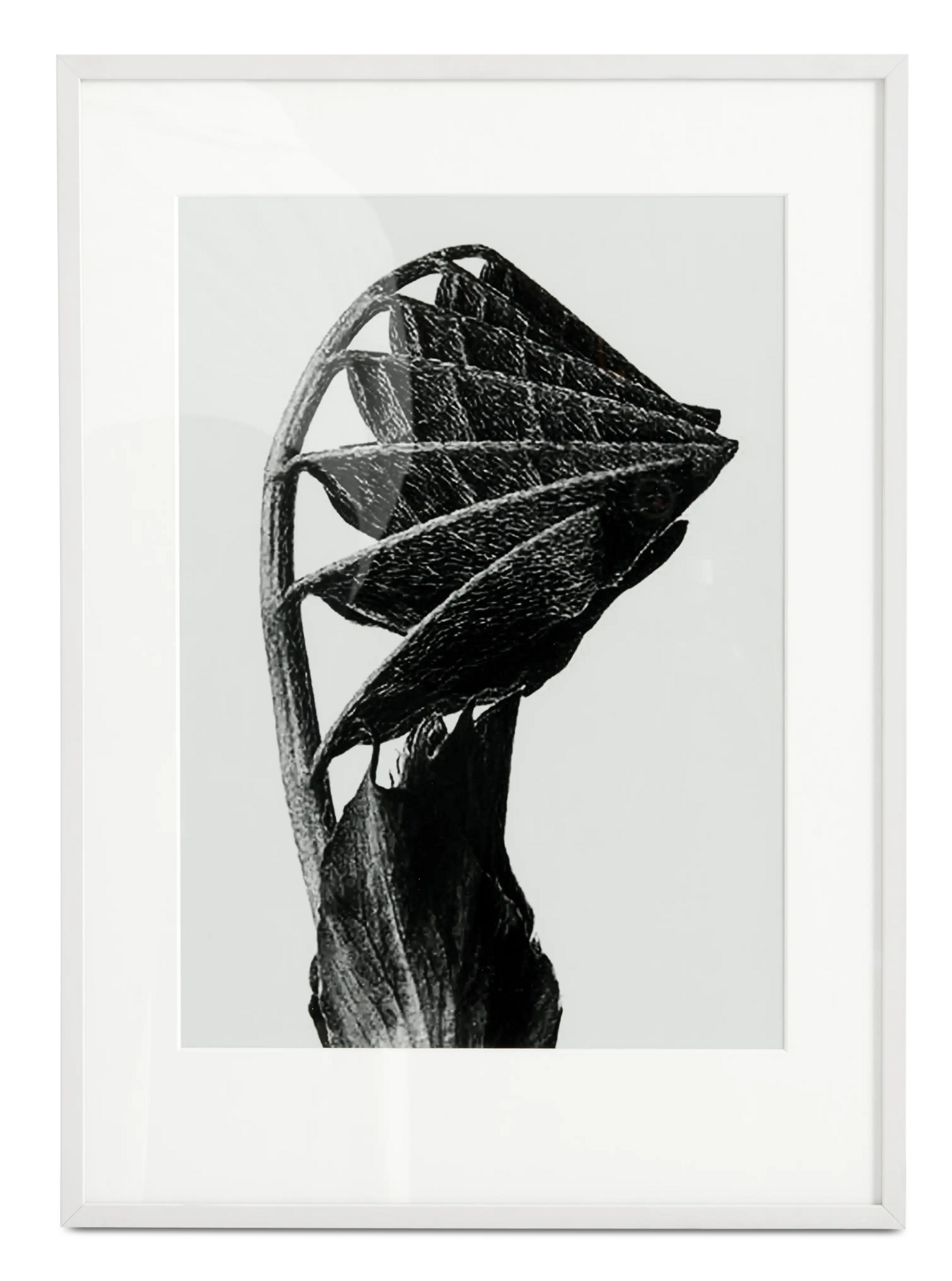 Nature Form Framed Print Blue Beige Grey 0