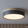 Ceiling Light Teneo Iron 1-Light Black 0