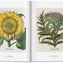 A Garden Eden. Masterpieces of Botanical Illustration 3
