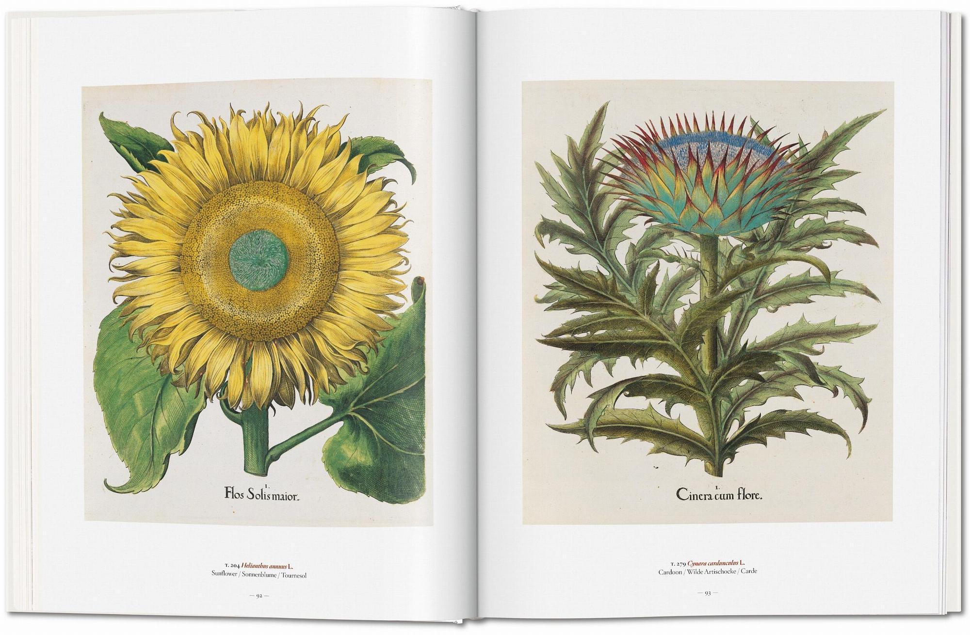 A Garden Eden. Masterpieces of Botanical Illustration 3