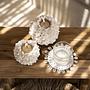 Shell Untersetzer Seegras Creme 2