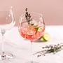 2x The World Gin-Tonic Glass Clear Glass 2