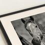 Wild Horses Kunstdruck mit Rahmen Schwarz Weiß 2