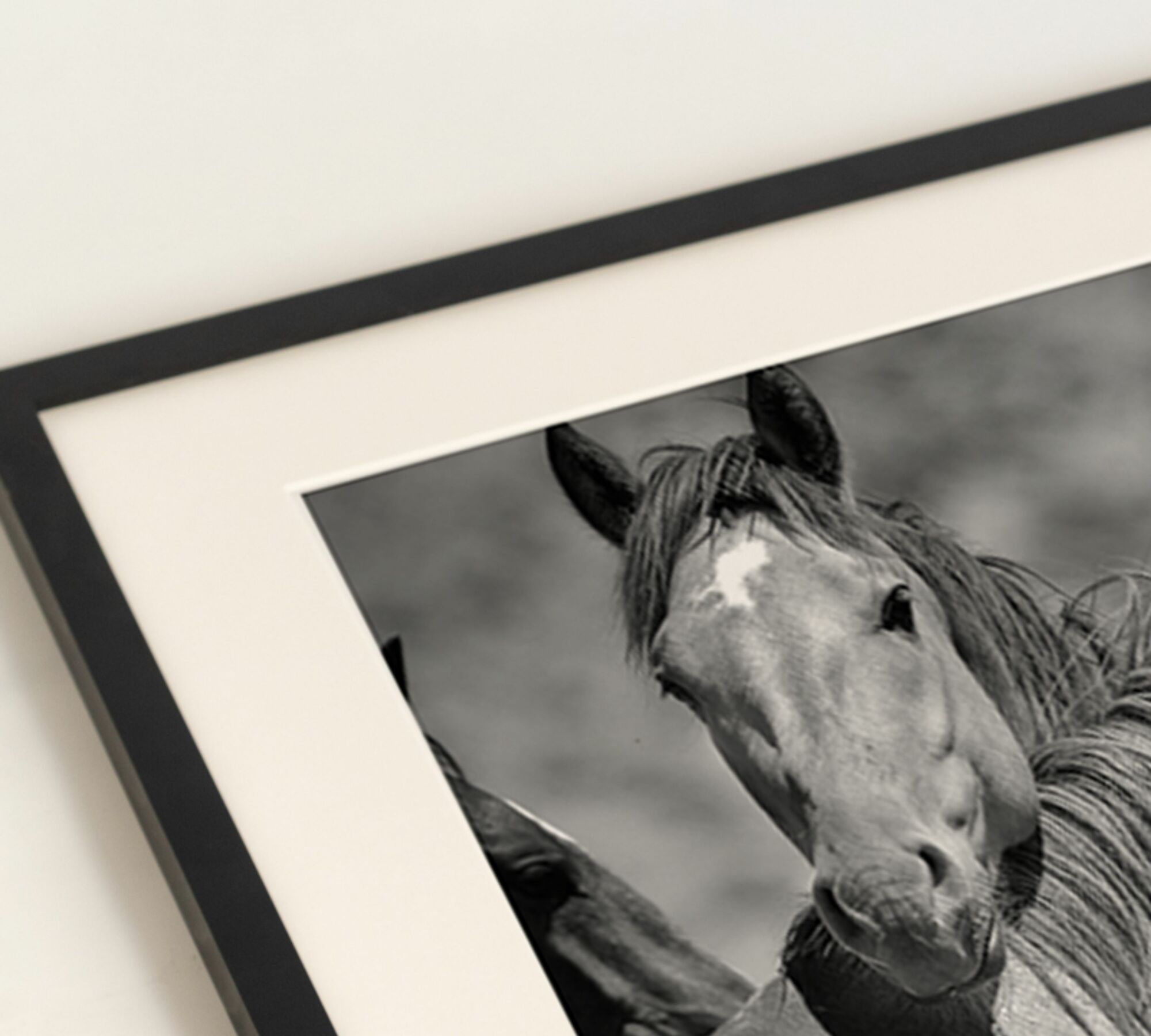 Wild Horses Kunstdruck mit Rahmen Schwarz Weiß 2