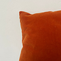 Kissen Samt Orange 1