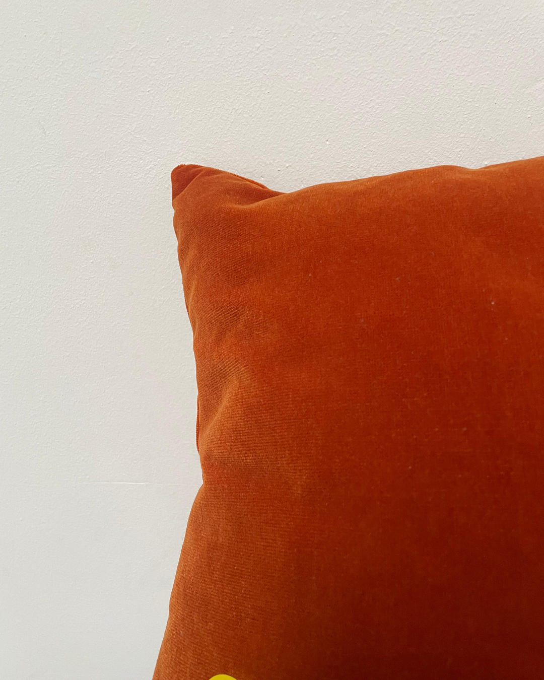 Kissen Samt Orange 1