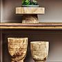 Arlo Kleiner Holz-Riser
 7