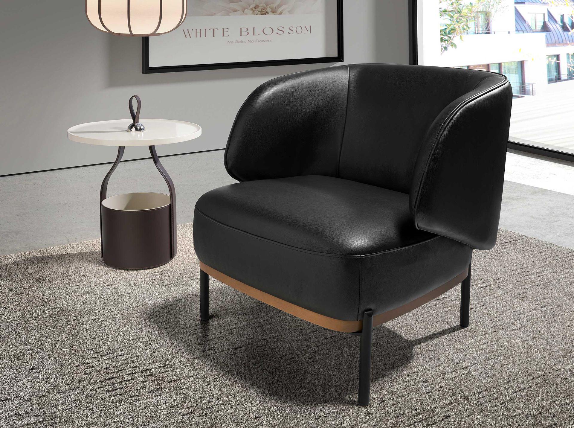 Armlehnsessel Leder Schwarz 2