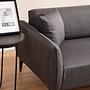 Belissimo 2-seater sofa dark grey 2