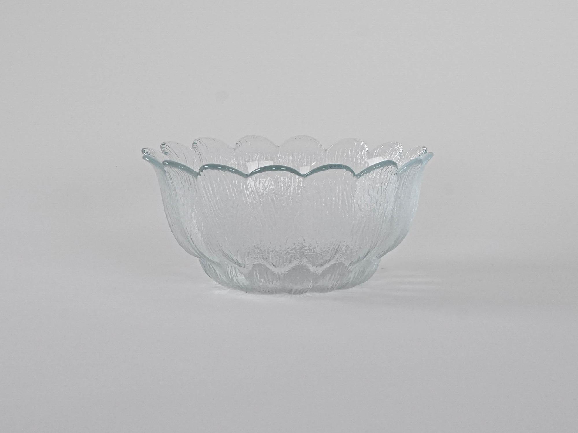 Glasschale Transparent 4
