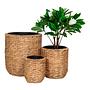 Hanoi Planter Set of 3 Brown 3
