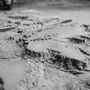 The Gray Planet Wandbild Faserbeton Grau 5