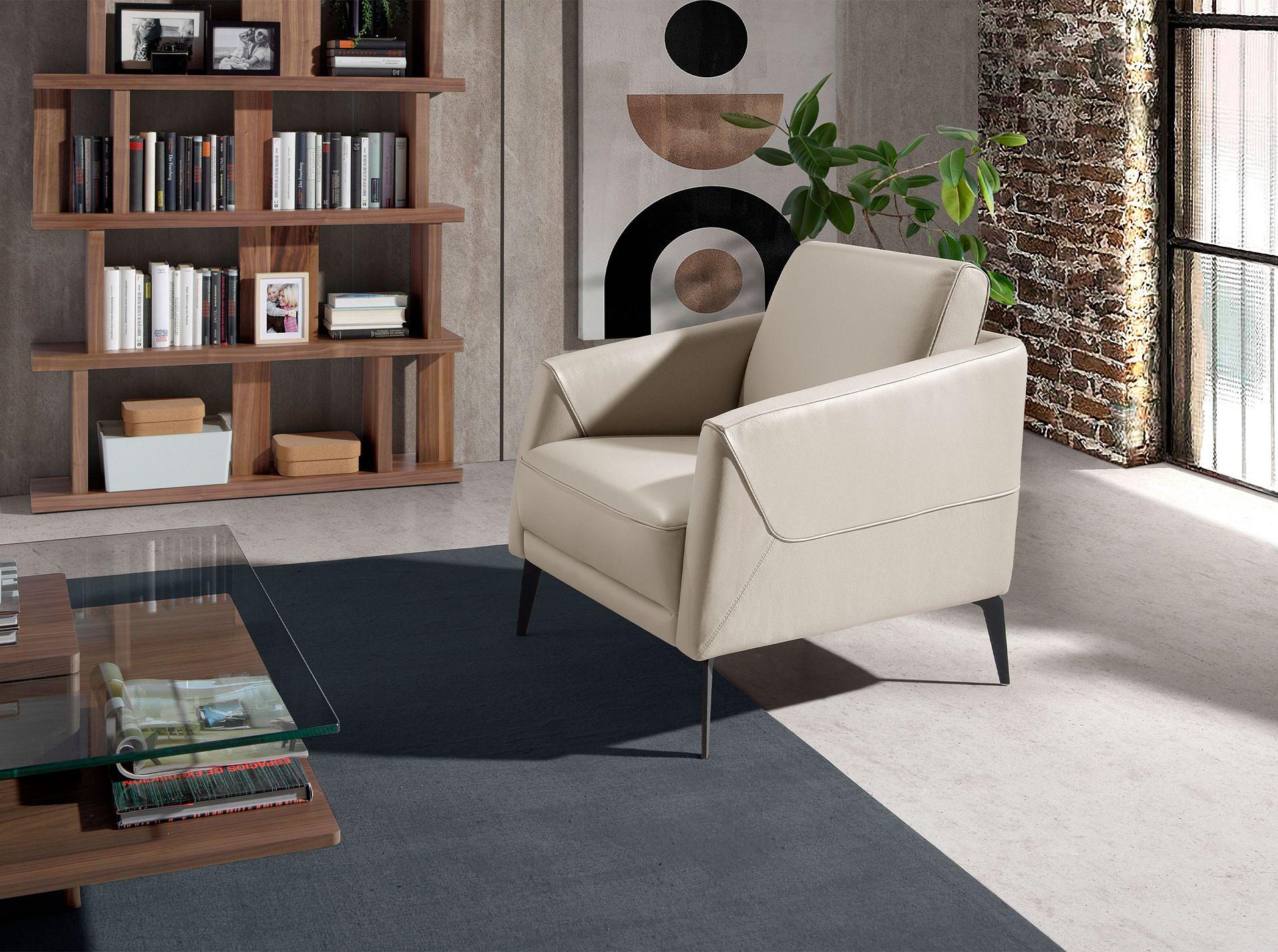 Sessel 5094 Leder Taupe Grau 0