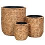 Hanoi Planter Set of 3 Brown 1