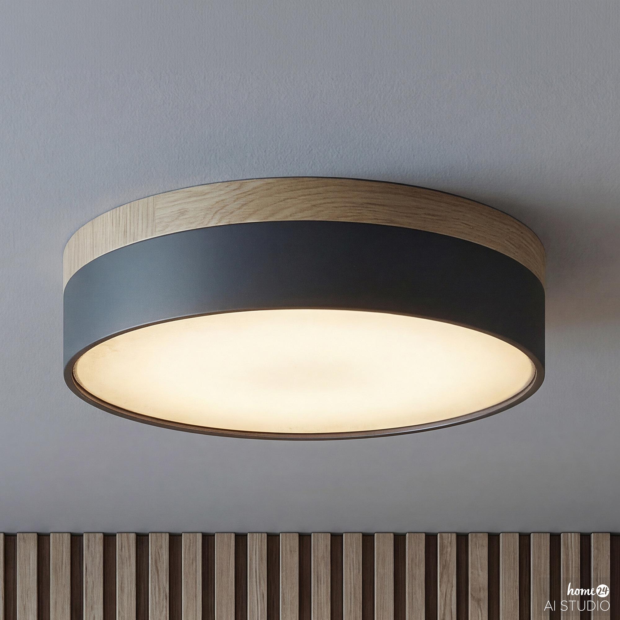 Ceiling Light Teneo Iron 1-Light Black 1