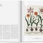 A Garden Eden. Masterpieces of Botanical Illustration 2