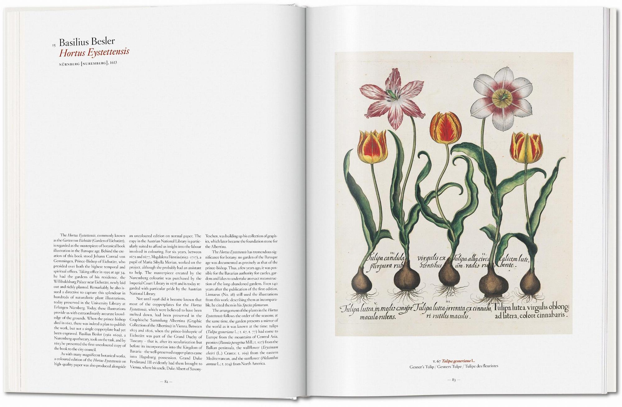 A Garden Eden. Masterpieces of Botanical Illustration 2