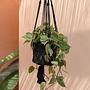 Macrame Plant Hanger Black 3