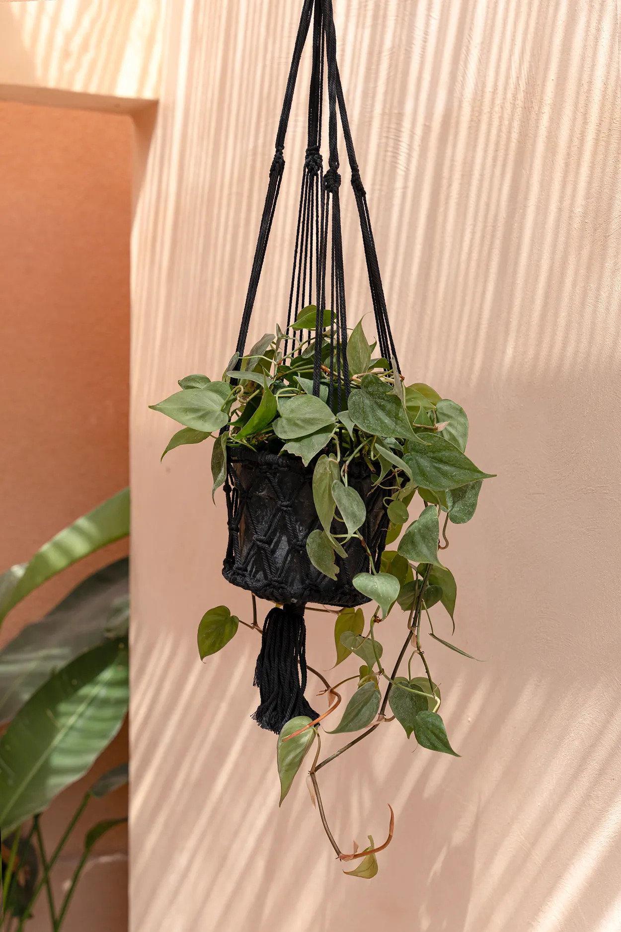 Macrame Plant Hanger Black 3