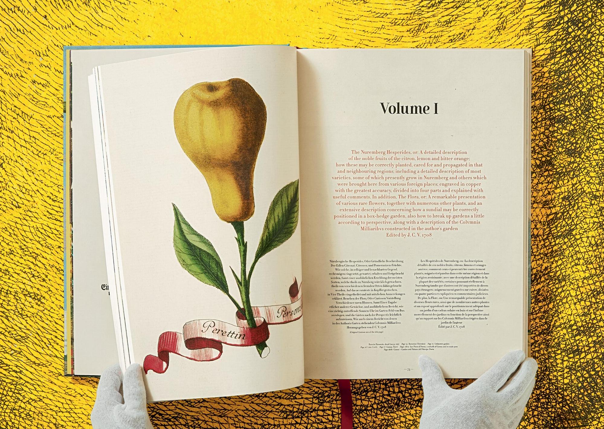 J. C. Volkamer. The Book of Citrus Fruits 4